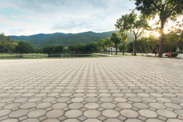 Best Driveway Paving Contractor  in Murrells Inlet, SC